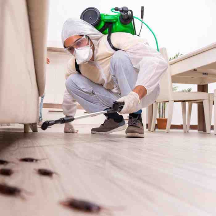 COCKROACH TREATMENT