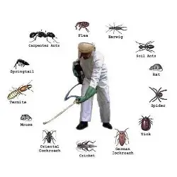 General Pest Control Service service
